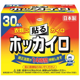 興和　ホッカイロ　貼るタイプ　レギュラー　1箱（30個）