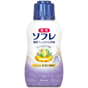 oXN@p\t@ZƂt@zCgt[̍@{́@480mL@1{