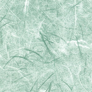 y񂹕iz TTK@@ʗ΁@˔@49|1702@1pbNi50j