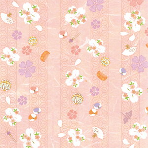 y񂹕iz TTK@@a؁@˔@49|1704@1pbNi50j yz