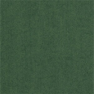 y񂹕iz TTK@@Gh@S@49|2122@1pbNi50j yz