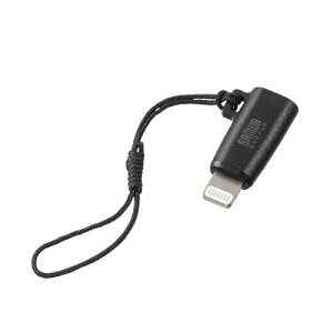 �y����񂹕i�z �T�����T�v���C�@USB�|C�|���C�g�j���O�ϊ��A�_�v�^�@�u���b�N�@AD�|USB30LCFBK�@1��