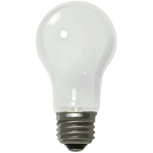 ELPA�@�������V���J�d���@40�`�@38W�@E26�����@�z���C�g�@LW100V38W�|W�@1��