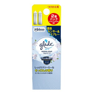 y񂹕iz W\@O[h@LZT[Xv[@A}\[v@p@1pbNi2{j