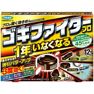 t}L[@SLt@C^[v@1NȂȂ@1pbNi12j