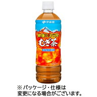 伊藤園　健康ミネラルむぎ茶　650mL　ペットボトル　1セット（48本：24本×2ケース） 【送料無料】