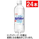 サンガリア　伊賀の天然水　強炭酸水　500mL　ペットボトル　1ケース（24本）
