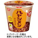日清食品　日清ハヤシメシ　デミグラス　103g　1ケース（6食）