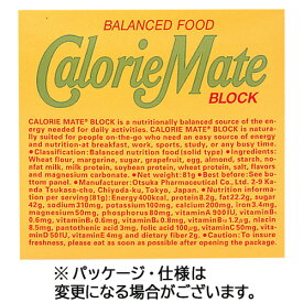 大塚製薬　カロリーメイトブロック　フルーツ味　20g／本　1セット（40本：4本×10箱）
