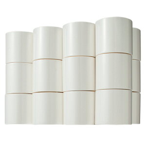 TANOSEE@gCbgy[p[ipv100j@tB@VO@cȂ@250m@1Zbgi72[F24[×3P[Xj yz