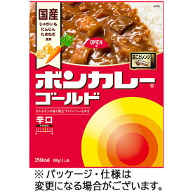 大塚食品　ボンカレーゴールド　辛口　180g　1セット（10食）