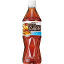 サントリー　烏龍茶　525ml　ペットボトル　1セット（48本：24本×2ケース） 【送料無料】