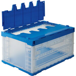 Ob@܂肽݃Reit@1ʔt@75L@t^@557610|00@1 yz