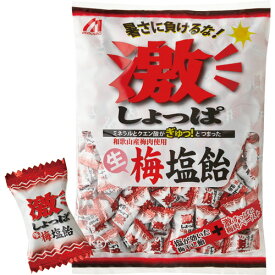 桃太郎製菓　激しょっぱ生梅塩飴　1kg／パック　1セット（3パック） 【送料無料】