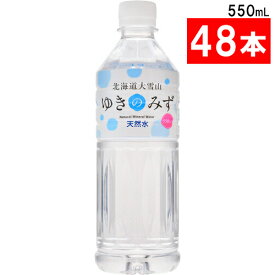 ロジネットジャパン　北海道大雪山ゆきのみず　550ml　ペットボトル　1セット（48本：24本×2ケース） 【送料無料】