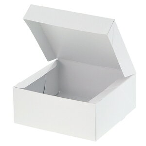 y񂹕iz VW}@P[L@PC|J[65@4@zCg@1Zbgi200F10×20pbNj yz