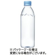 伊藤園　エビアン　ラベルレス　500ml　ペットボトル　1セット（48本：24本×2ケース） 【送料無料】