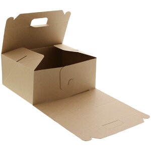 y񂹕iz VW}@HEIKO@Hi@lINtg@L[{bNX@LL@004248014@1Zbgi200F20×10pbNj yz