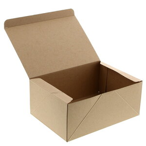 y񂹕iz VW}@HEIKO@@lINtg@P[LBOX@L@004248017@1Zbgi100F20×5pbNj yz