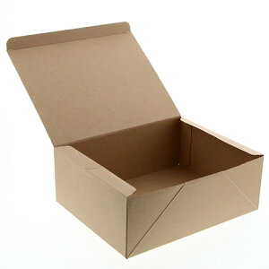 y񂹕iz VW}@HEIKO@@lINtg@P[LBOX@LL@004248018@1Zbgi100F20×5pbNj yz