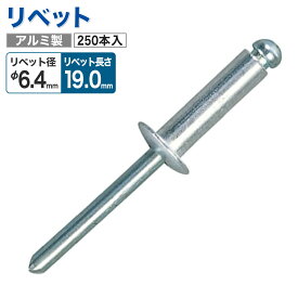 【大径φ6.4mm・長さ19mm】 ブラインドリベット アルミ製 250本入 ツバ径φ12.8mm トラック補修 特装車パーツ固定
