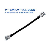 バッテリー ターミナルケーブル 20SQ 2t車用 DC12V直列接続 長さ300mm D型端子(＋−表示あり)