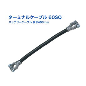 バッテリー ターミルケーブル 60SQ DC12V直列接続 長さ400mm D型端子