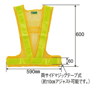 SxXg ԐFLED / t[TCY ˃e[v h H  ƕ