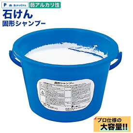 【Pa-manオリジナル】 洗車用石けん カーシャンプー 固形 弱アルカリ性 大容量 業務用 ボディ洗浄 丸型バケツ 洗車ブラシに パーマン