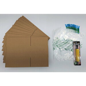 GA[ɏՍ 101Zbg { GA[bv GA[NbV GAobN  ו ی ^