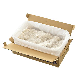 yPa-manIWiz IC{bNX 5L 5 p{bNX 5bgp 5 |CpbNppbN p IC J[pi  