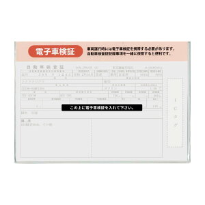 dqԌؓ 10Zbg \tg^Cv 187×130mm ԍڎ[ z_[