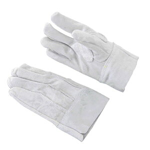 v OD 10og LL Ǝ jɂ/ϋv ݌ y @B AEghA Lv  ؒf