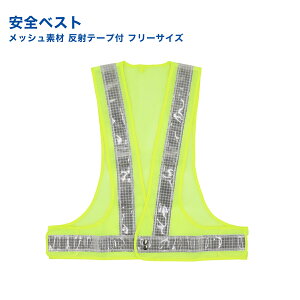 SxXg bVf ˃e[vt 620×570mm  ƕ y H jp t[TCY