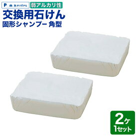 交換用 洗車用石けん カーシャンプー 固形 弱アルカリ性 2個セット 品番22103100用 大容量 業務用 角型バケツ 洗車ブラシに