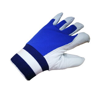 wی ol2{ p zCg×u[ ϏՌ /ݍݖh~ ^ Bł