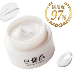 �y ��򕔊O�i �z ������ �����N���[�� �ێ� �w�p�����ގ������z�� �h���C�X�L�� ������ 35g ��p ���� ���� �V�~ �ێ� �q���h�C�h �N���[�� ���ϕi �w�p���� �����Ȃ肽�� �L������ ���� ����