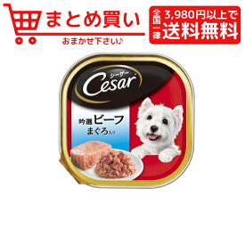 楽天市場 シーザー マグロの通販