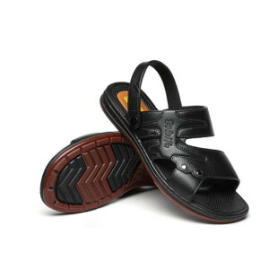 T_ Y AEghA }WbNe[v JWA X|[cT_ r[`T_ ʋC y YV[Y C/ t