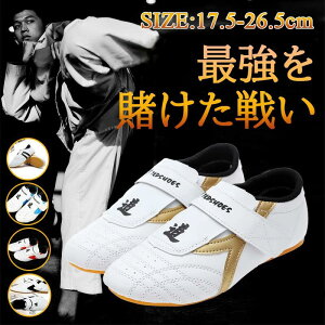 S g[jOV[Y p X|[ ~ ؒ ʋC  qp _ jp y lp Kp ^