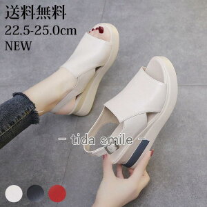 T_ fB[X q[  x[W  EGbW\[ ~ZX C ₷ Ȃ ɂȂ JWA RtH[