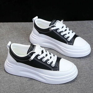 fB[X C Xj[J[  q Z q lC s s  y ɂȂ ʊw ʋ X|[c _X 6213