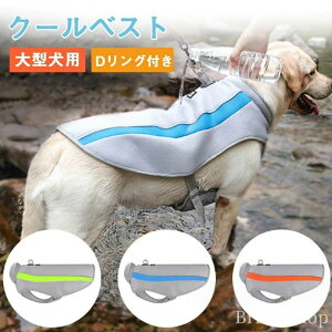 yz^p o U AEghA ȒPE DOt bV ʋC MǑ΍  ⊴xXg ^ ЂxXg