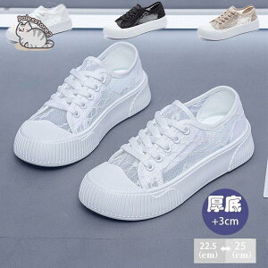 j[J[ fB[X EH[LO   AEghA Ȃ y  h ϋv ʋCȂ ʊwC ^C