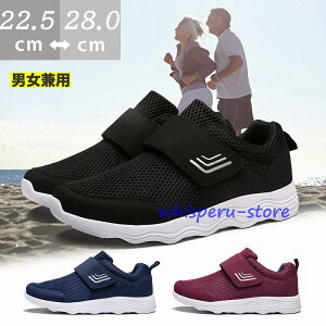 Y fB[X nrV[Y SC ҌC L  i RtH[g ₷ 傫TCY hV̓