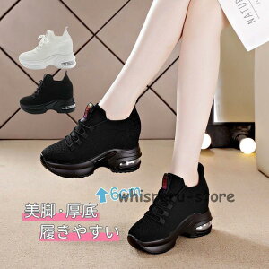 Xj[J[ fB[X  Xj[J[ 킢 EH[LOV[Y jOV[Y  y ₷ L