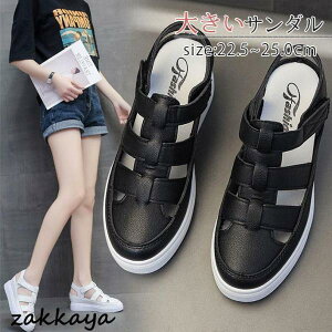 B[X  傫TCY Xj[J[ T_ ₷ JWA Ȃ K ʋC r t  Vv