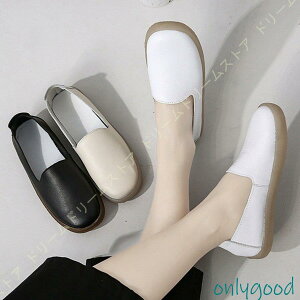 [X {v  y 傫TCY r tbgV[Y  Ȃ ₷ U[ [Jbg  ؂ ʋC