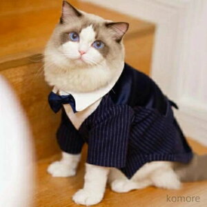 L   am  ^LV[h LbgEFA hbOEFA XgCv  ^LV[h L