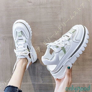 J[T_ T_Xj[J[ Xj[J[  ؍ r X|[cT_ ʋC gAbv nCq[ EFbWT_